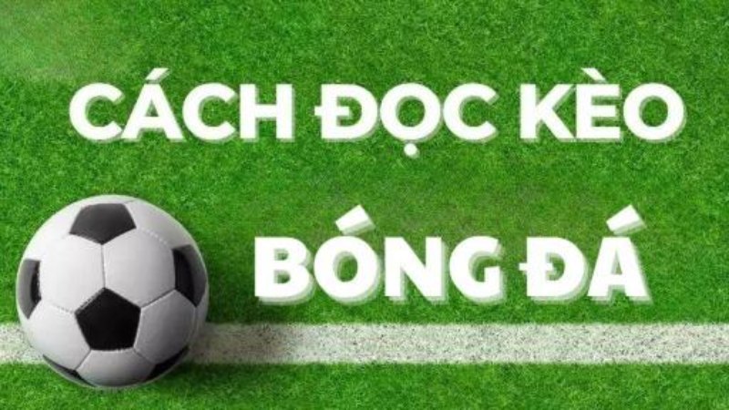 Cách đọc kèo chấp 3.5